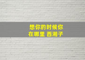 想你的时候你在哪里 西湘子